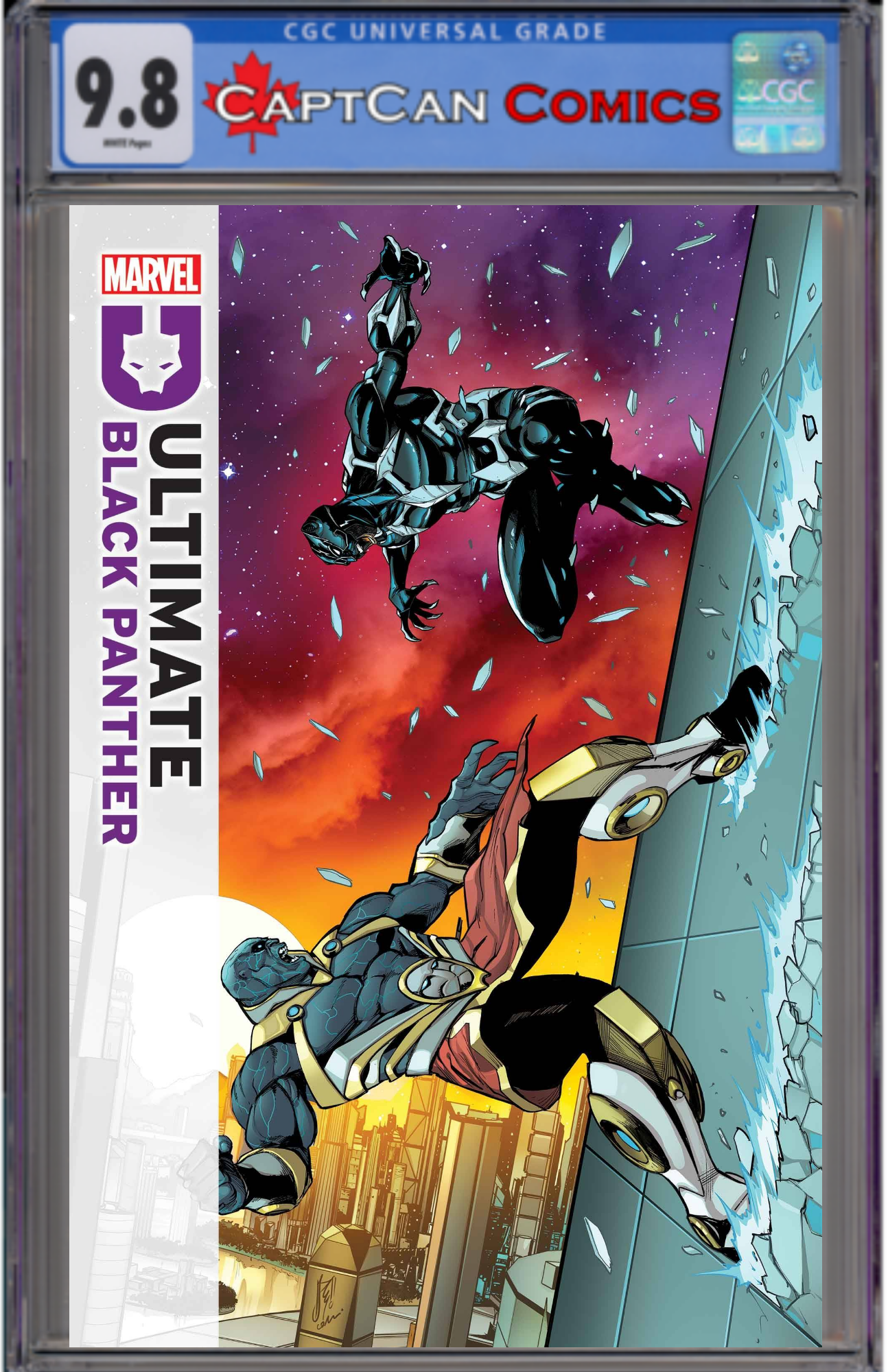 ULTIMATE BLACK PANTHER #14