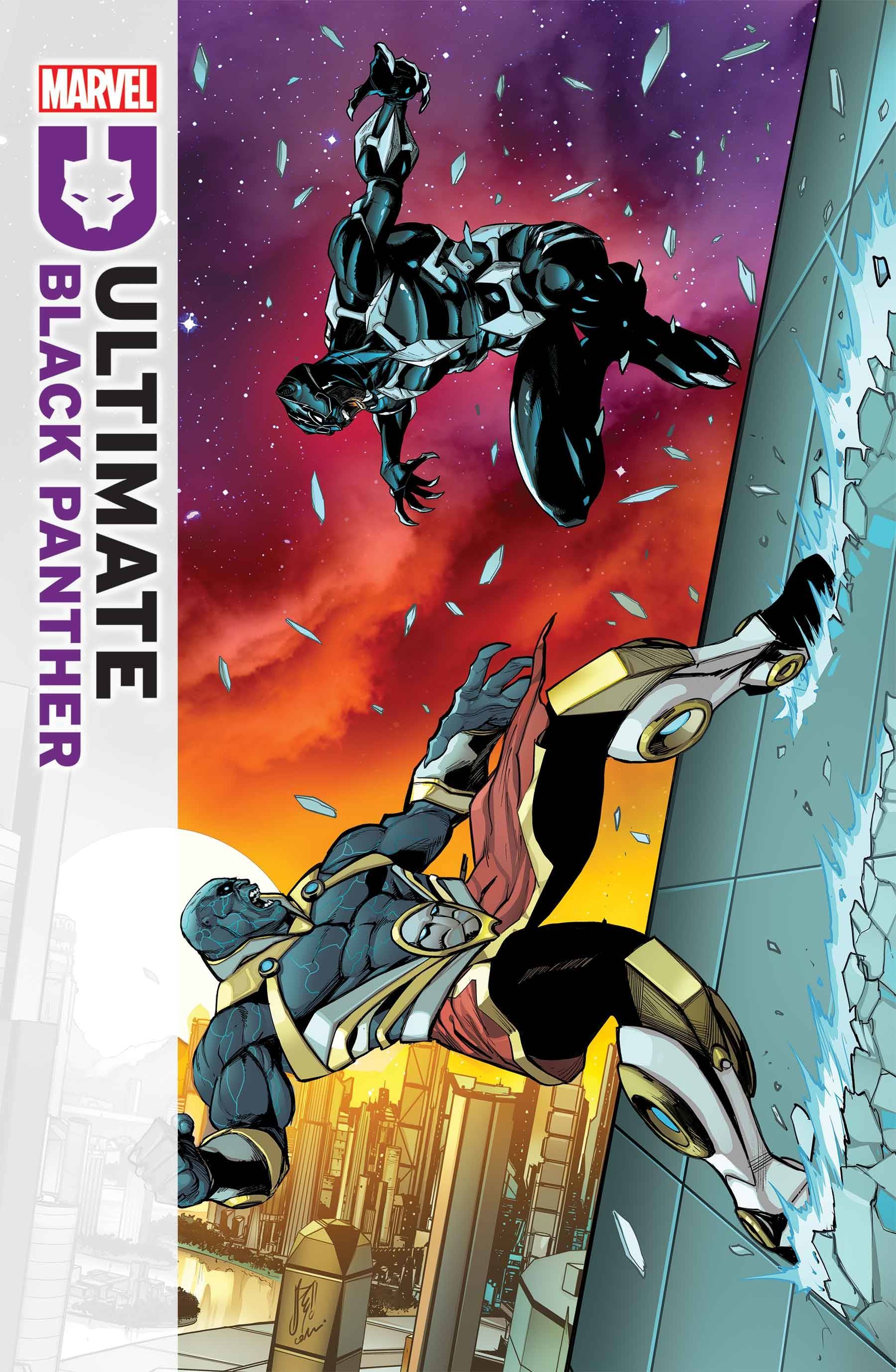 ULTIMATE BLACK PANTHER #14