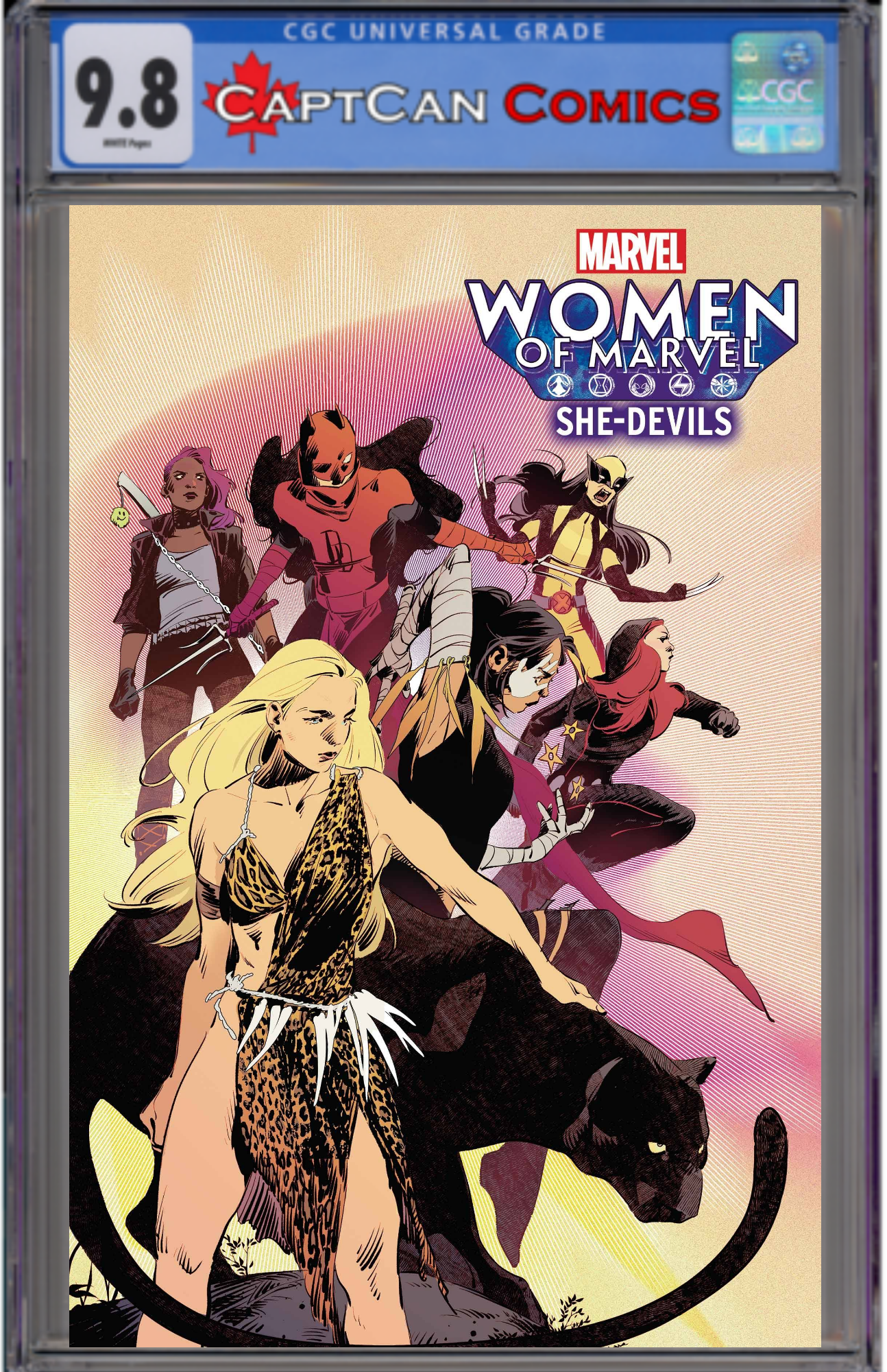 WOMEN OF MARVEL SHE-DEVILS #1